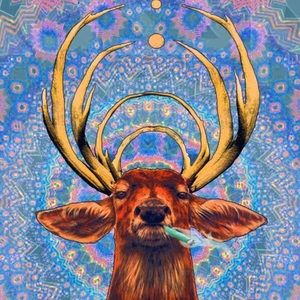 Meet your Posher, Kinohi